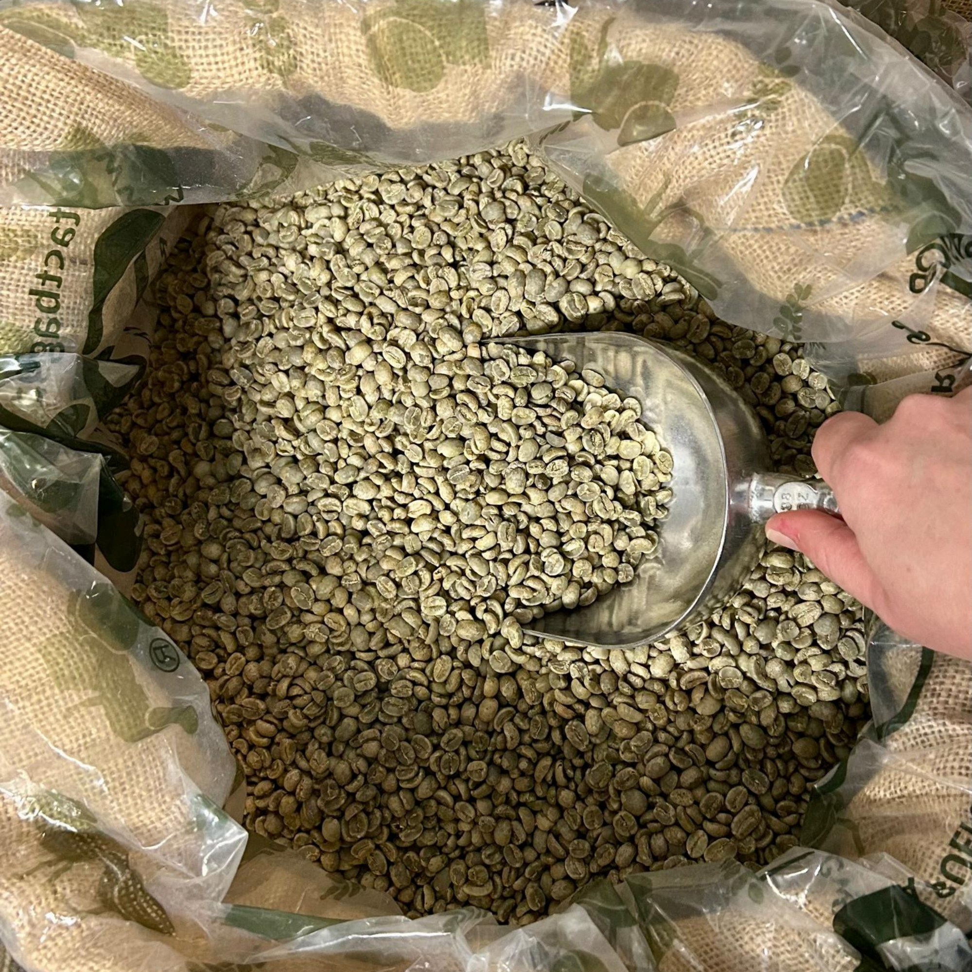 Specialty Green Coffee