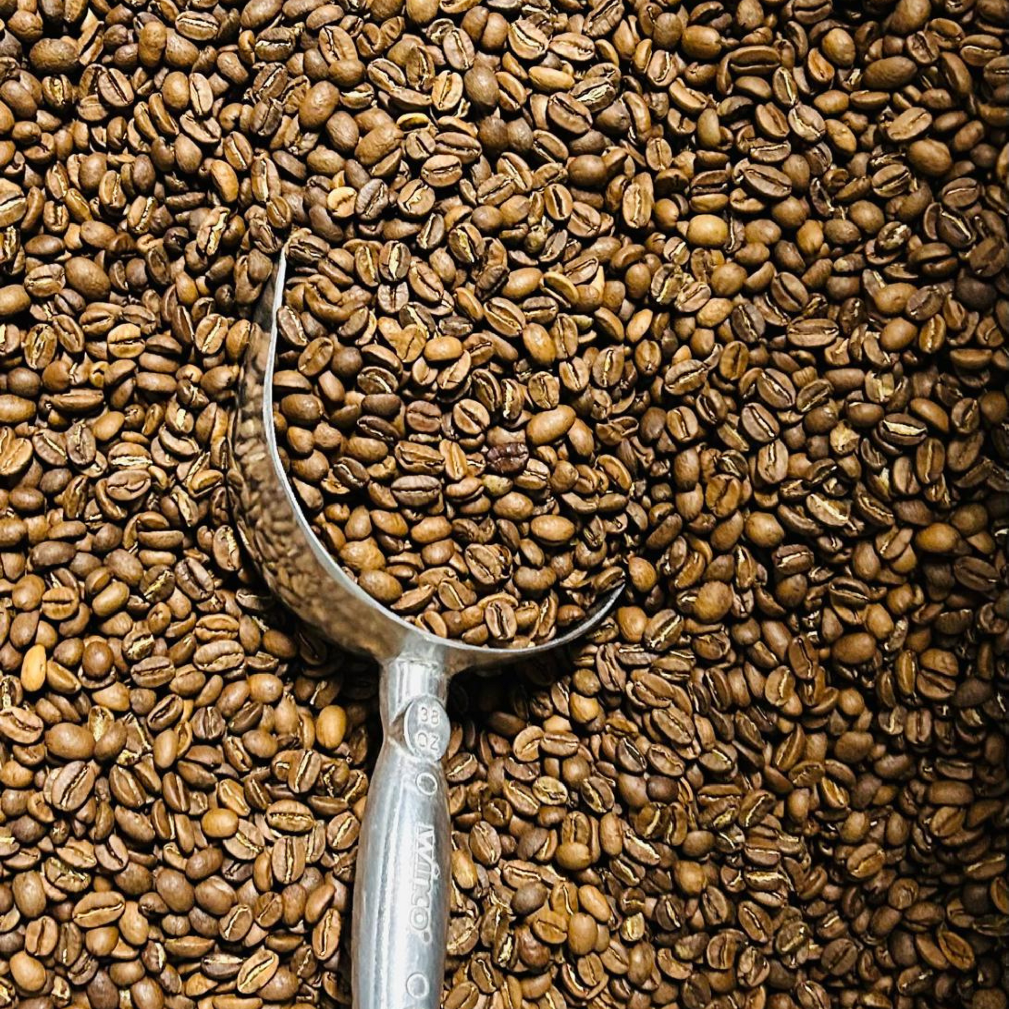 Roasted Specialty Coffee